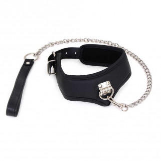 Basic Collar with Chain Leash
